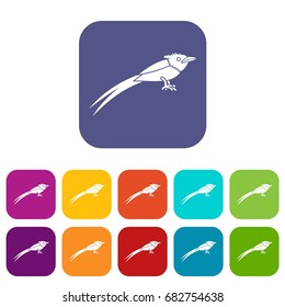 Asian paradise flycatcher icons set vector illustration in flat style in colors red, blue, green, and other