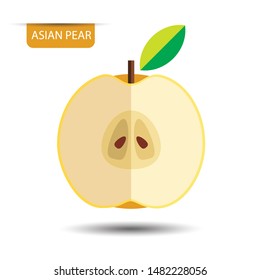 Asian pear, fruit on white background. Flat design style. vector illustration.