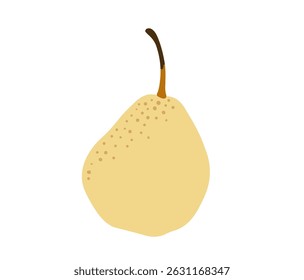 Asian pear tropical exotic fruit. Vector hand-drawn illustration, isolated on white background.
