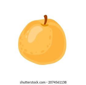 Asian Pear. Tropical Exotic Juicy Fruit. Healthy Vegetarian Food. Flat Vector Illustration. 