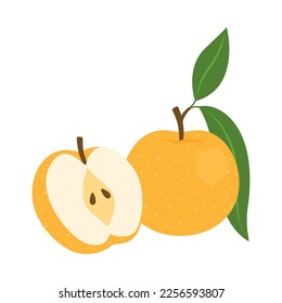 Asian pear whole fruit and half isolated on white background. Pyrus pyrifolia, Japanese, Chinese, Korean or nashi pear icon. Vector illustration of tropical exotic fruits in flat style.