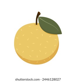 Fruta entera de pera asiática y mitad aislada sobre fondo blanco. Ilustración vectorial de frutas exóticas tropicales en estilo plano.