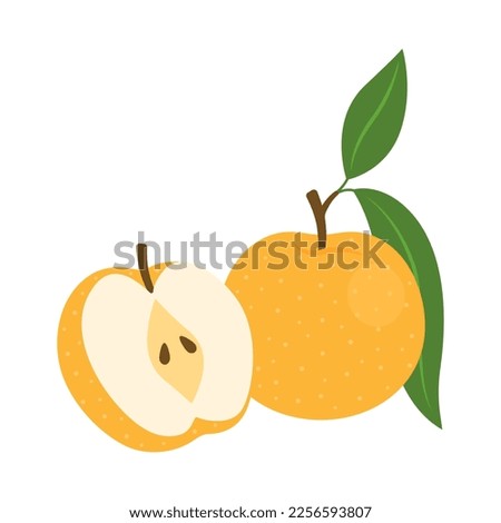 Asian pear whole fruit and half isolated on white background. Pyrus pyrifolia, Japanese, Chinese, Korean or nashi pear icon. Vector illustration of tropical exotic fruits in flat style.