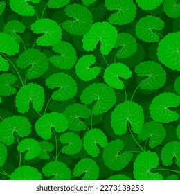 Asian pennywort endless texture. Gotu kola repeated background.Centella asiatica seamless pattern vector illustration. Fresh green leaf for organic cosmetics, eco natural products backdrop