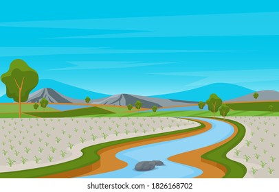 Asian Rice Field Paddy Plantation Agriculture Landscape Illustration
