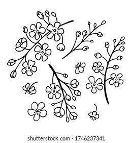 Asian sakura flowers motif. Chinese Japanese style floral design. Line art. Black and white vector illustration isolated on white background. Cherry blossom. Outline design element. Stamp stensil.