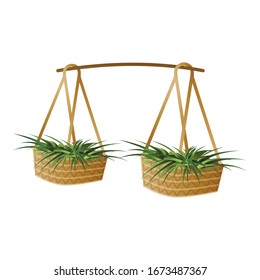 Asian seed plant basket icon. Cartoon of asian seed plant basket vector icon for web design isolated on white background