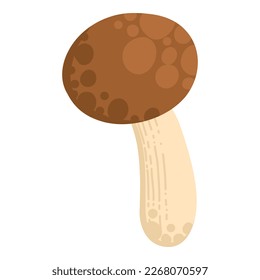Asian Shiitake mushroom or fungi. Raw forest edible fungus composition. Natural organic vegetarian food. Colored hand-drawn vector illustration of lentinula edodes isolated on white background.