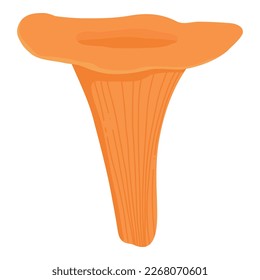 Asian Shiitake mushroom or fungi. Raw forest edible fungus composition. Natural organic vegetarian food. Colored hand-drawn vector illustration of lentinula edodes isolated on white background.