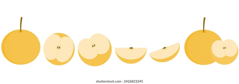 Asian snow pear or korean nashi pear fruit.Fengsui.Shingo.Pyrus pyrifolia.Fresh sapodilla.Whole, slices and half cutted.Sign, symbol, icon or logo isolated.Flat design.Graphic.Cartoon vector.