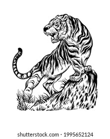 asian style hand drawn tiger illustration for designers