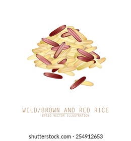 Asian traditional food of Japan, Korea and China. Vector illustration of red and wild or brown rice mix. 