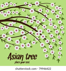Asian tree with space for text. Vector illustration.