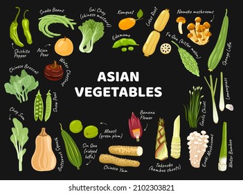 Asian vegetables banner for farmers market, supermarket, menu, recipes. Exotic food from Korea, Japan, China. Oriental cuisine ingredients. Vector cartoon flat illustrations.