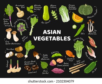 Asian vegetables banner for farmers market, supermarket, menu, recipes. Exotic food from Korea, Japan, China. Oriental cuisine ingredients. Vector cartoon flat illustrations.