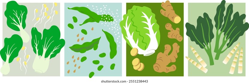 Asian Vegetables Pack Collection - ilustrações vetoriais feitas à mão