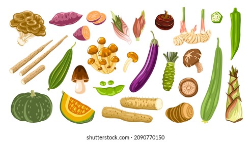 Asian vegetables set. Exotic japanese ingredients for food. Mushrooms, roots, bamboo shoots, sweet potato and other. Oriental cuisine. Vector hand drawn flat illustration.