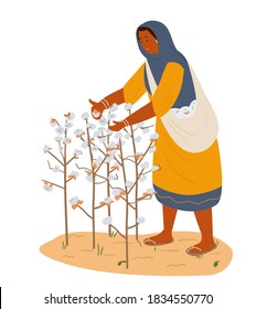 Asian Woman Collecting Cotton. Hand Drawn Flat Vector Illustration. Isolated On White.