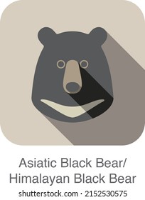 Asiatic black bear face flat icon design. Animal icons series.