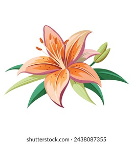 Asiatic lily Flower flat vector illustration