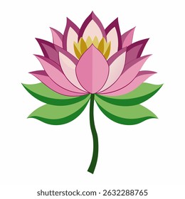 lótus asiático sobre fundo branco