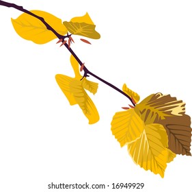 asp autumn branch