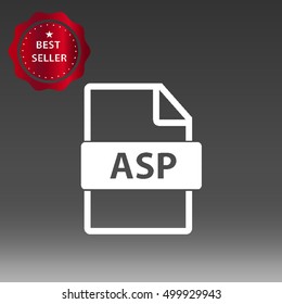 ASP File Type Vector Icon Illustration