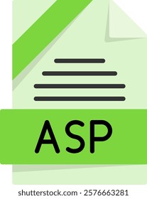 ASP Format Flat Style Icon