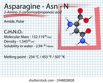 Asparagina F Rmula Molecular Asn Vector De Stock Libre De Regal As Shutterstock