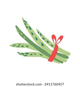 Asparagus branch with red ribbon vector illustration isolated on white, sprouts, farm vegetable, vegetarian food drawing flat style, Sparrow grass for design agricultural market, vegan restaurant menu