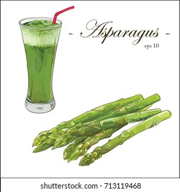 Asparagus bunch and green smoothie with asparagus vector set 