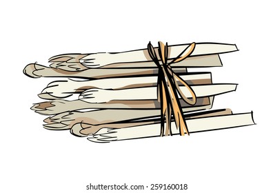 Asparagus Bunch. Vector Illustration