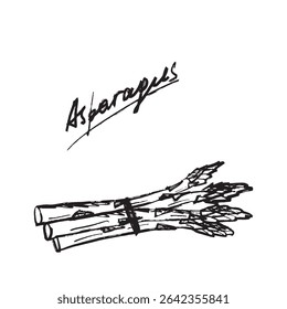 Feixe de espargos ligado com uma faixa em textura de traço de pincel preto isolada em branco. Ilustração de esboço de vetor desenhado à mão em tinta de carvão vegetal. Colheita, nutrição adequada, estilo de vida saudável