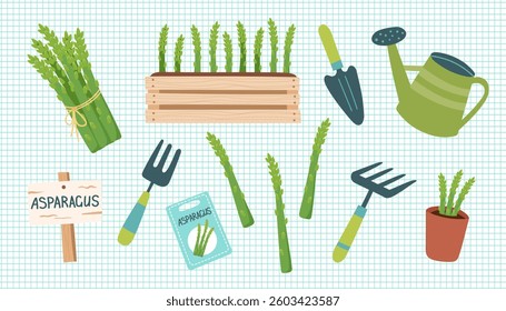 Asparagus cliparts isolated on checkered background. Asparagus vegetable. Gardening concept. Asparagus and equipment for planting vegetables. Vector hand drawn illustration.