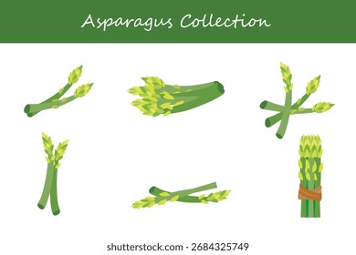 coleção de espargos em estilo diferente. Ilustração vetorial.