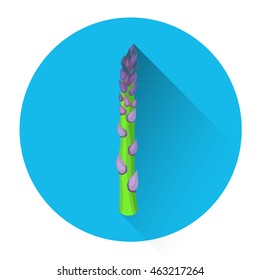 Asparagus Colorful Vegetable Icon Flat Vector Illustration