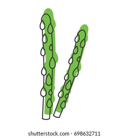 Asparagus doodle icon vector illustration for design and web isolated on white background. Asparagus vector object for labels, logos and advertising
