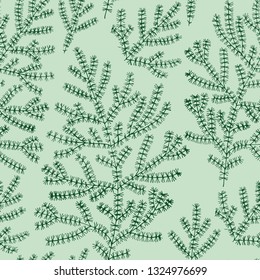 Asparagus fern. Hand-drawn vector botanical seamless pattern for your natural design.