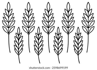 Asparagus fern leaf line art simple illustration