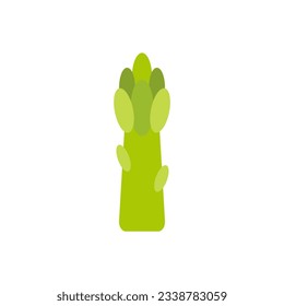 Asparagus flat design vector illustration. Vegetable illustration for farm market menu. Asparagus sprout. Vegetarian nutrition, healthy food design
