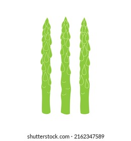 Asparagus flat vector doodle illustration. Sparrowgrass vegetables healthy food clipart