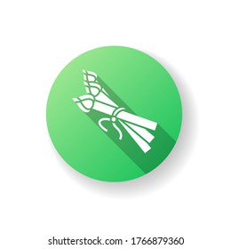 Asparagus green flat design long shadow glyph icon. Fresh raw vegetable for fitness dieting. Veggie sprout to cook italian food. Nutrient vegan salad ingredient. Silhouette RGB color illustration