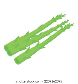 Asparagus green icon. Isometric of Asparagus green vector icon for web design isolated on white background