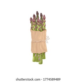 Asparagus green sprouts butch in paper pack. Healthy farm fresh vegetable. Vegetarian eco food. Isolated on white background. Vector illustration.