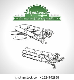 Asparagus. Hand drawn collection of vector sketch detailed fresh vegetables. Isolated