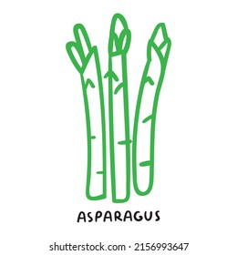 Asparagus. Hand drawn vector icon on white background.