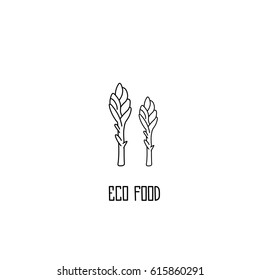 Asparagus hand drawn vector illustration