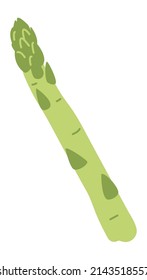 Asparagus icon. Cute healthy diet green stalk