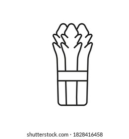 icono de esparagus elemento de verduras icono para concepto móvil y aplicaciones web. Icono de espárragos de línea delgada se puede usar para web y móvil. Icono premium sobre fondo blanco