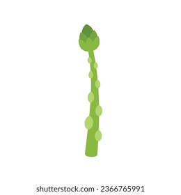 Asparagus icon flat vector. Plant bunch. Spring food isolated